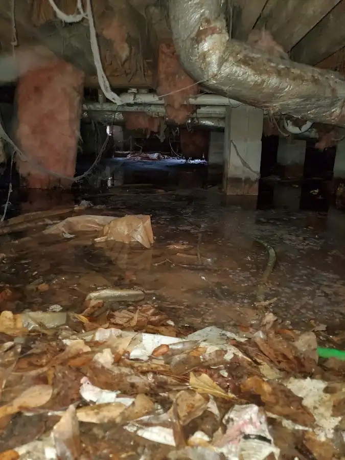 Crawl space flood assessment for Leak Detection & Repair in Glennville