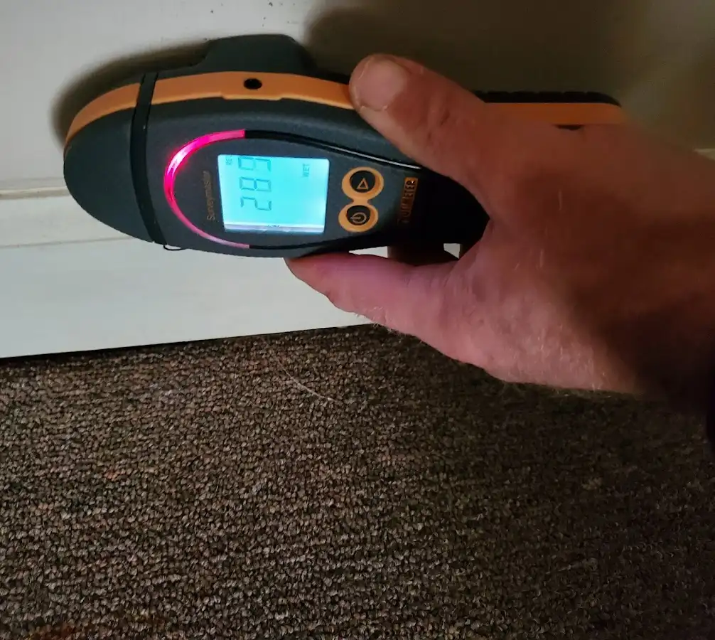 Moisture detection at baseboard during Sewage Cleanup & Sanitation in Glennville